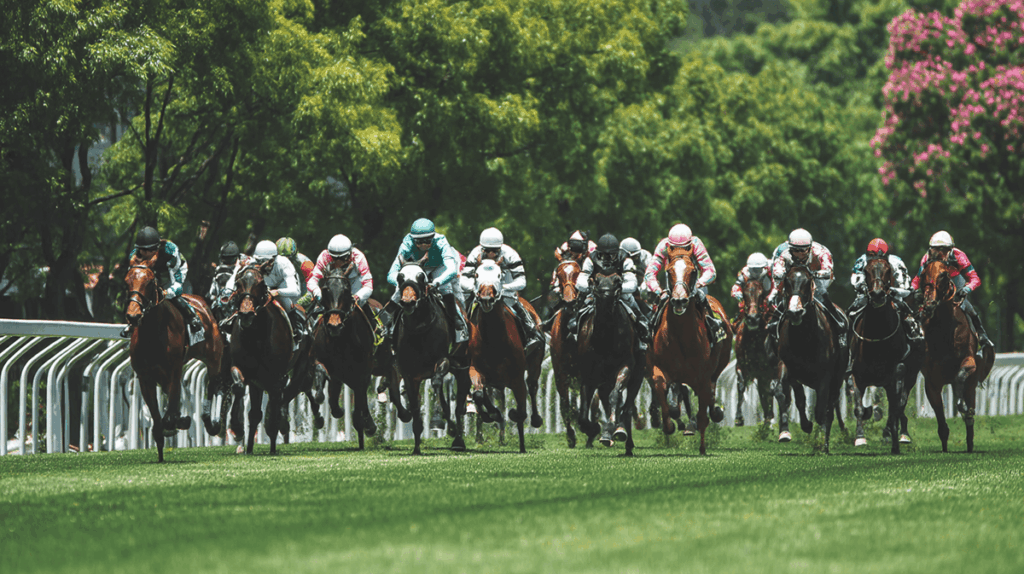 競馬